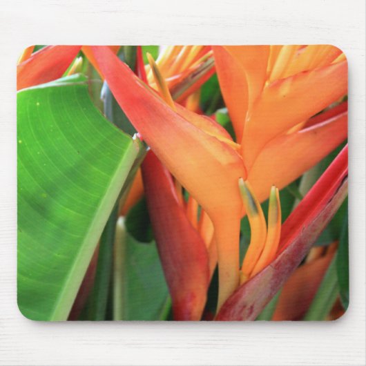 Brillante Heliconia Tropical Blume Mousepad (Vorne)