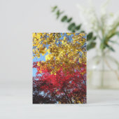 Brillante Herbstbaume Postkarte (Stehend Vorderseite)