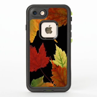 Brillante Herbstfarben Ahorn-Blätter