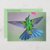Brillante Hummingbird im Flight mit Wings Open Postkarte (Vorne/Hinten)