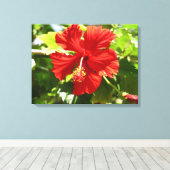 Brillante Red Hibiskus Blume Canvas Print Leinwanddruck (Insitu (Holzboden))