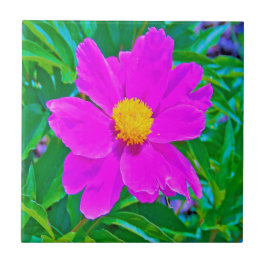 Brillante Ultra-Violet-Peony mit gelbem Zentrum Fliese