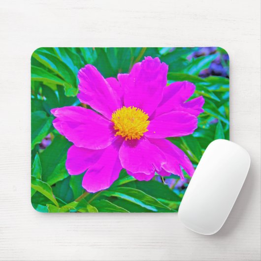 Brillante Ultra-Violet-Peony mit gelbem Zentrum Mousepad (Mit Mouse)