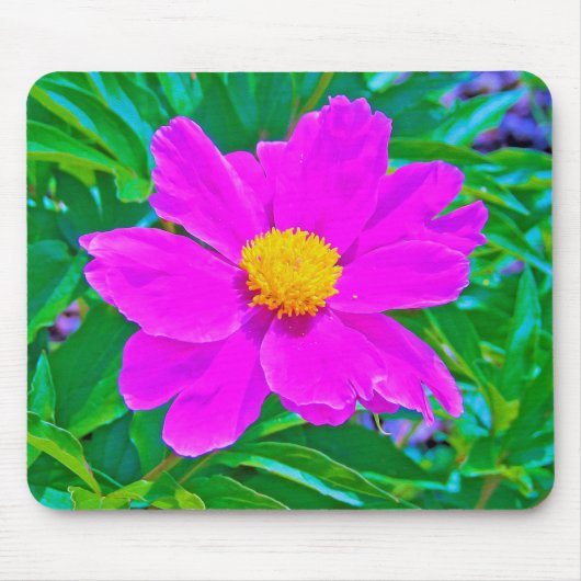 Brillante Ultra-Violet-Peony mit gelbem Zentrum Mousepad (Vorne)