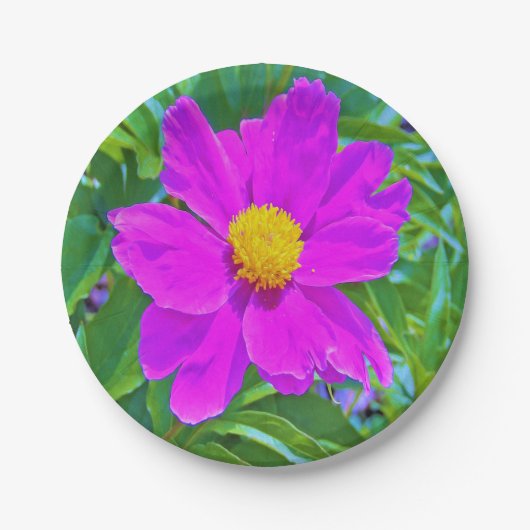 Brillante Ultra-Violet-Peony mit gelbem Zentrum Pappteller (Vorderseite)