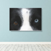 Brillante Welpenaugen Leinwanddruck (Insitu (Holzboden))