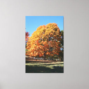Brillanter Herbstbaum – Hubbell, Michigan Leinwanddruck