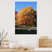 Brillanter Herbstbaum – Hubbell, Michigan Poster (Küche)