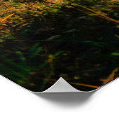 Brillanter Landschaftsdruck Poster (Ecke)