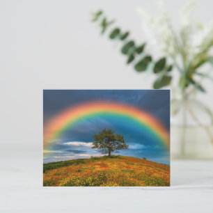 Brillanter Regenbogen über einer Wildblumenwiese Postkarte