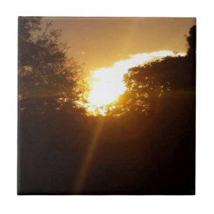 Brillanter Sonnenaufgang über den Bäumen Fliese