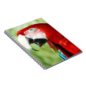 Brillantes Rot Notizblock (Rechte Seite)