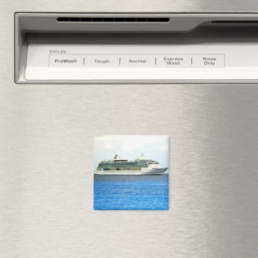 Brillanz in den Kaimanen Magnet (In Situ (Geschirrspüler))