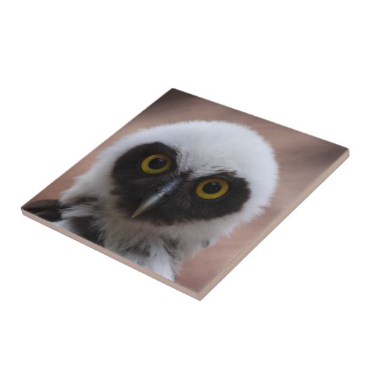 Brille Fliese (Seite)