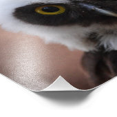 Brille Fotodruck (Ecke)