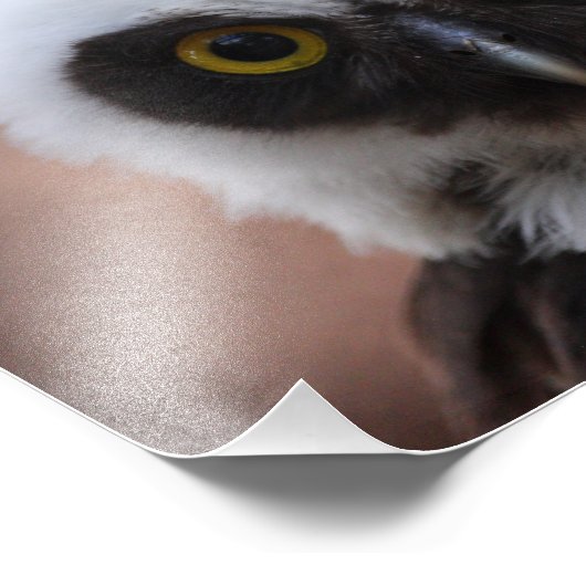 Brille Fotodruck (Ecke)