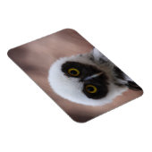 Brille Magnet (Rechte Seite)