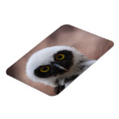 Brille Magnet (Linke Seite)