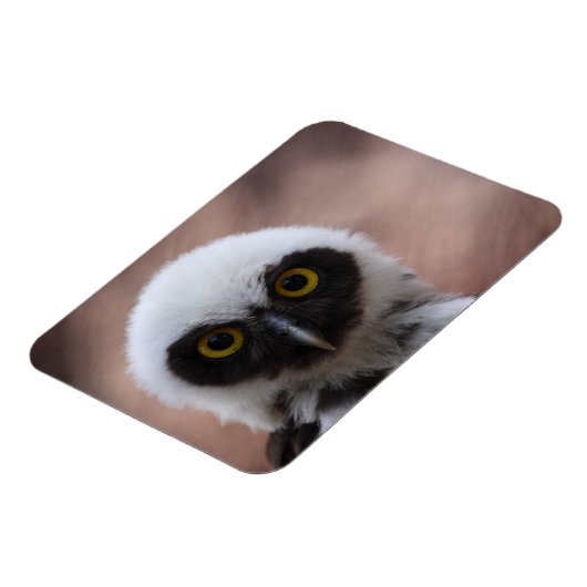 Brille Magnet (Linke Seite)