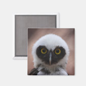 Brille Magnet (Vorderseite/Rückseite)