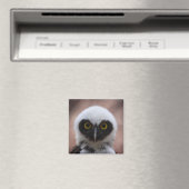 Brille Magnet (In Situ (Geschirrspüler))