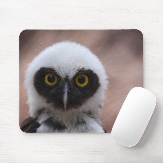Brille Mousepad (Mit Mouse)