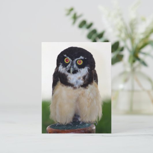 Brille Postkarte (Stehend Vorderseite)