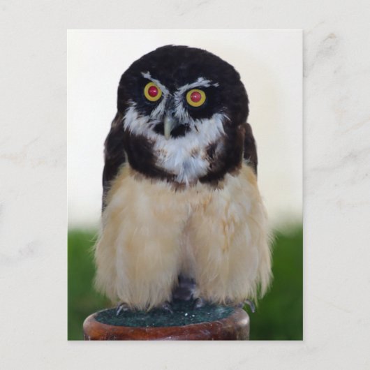 Brille Postkarte (Vorderseite)