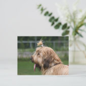 Brille Postkarte (Stehend Vorderseite)