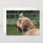 Brille Postkarte (Vorne/Hinten)