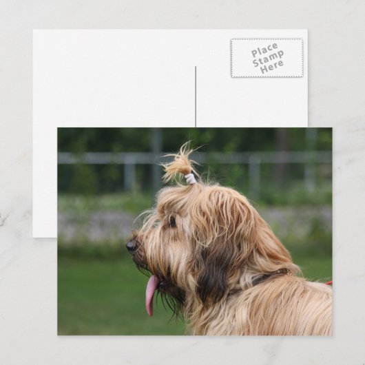 Brille Postkarte (Vorne/Hinten)