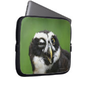 Brille (Pulsatrix perspicillata) Laptopschutzhülle (Vorne Rechts)