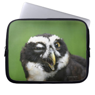 Brille (Pulsatrix perspicillata) Laptopschutzhülle