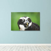 Brille (Pulsatrix perspicillata) Leinwanddruck (Insitu (Holzboden))