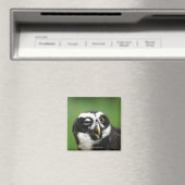 Brille (Pulsatrix perspicillata) Magnet (In Situ (Geschirrspüler))