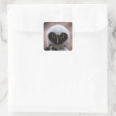 Brille Quadratischer Aufkleber (Tasche)