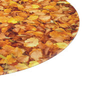 Brillenkopfplatine im Herbst Schneidebrett (Ecke)