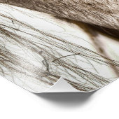 Brillenpferd Fotodruck (Ecke)