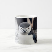 Brillenpinguin Kaffeetasse (Mittel)
