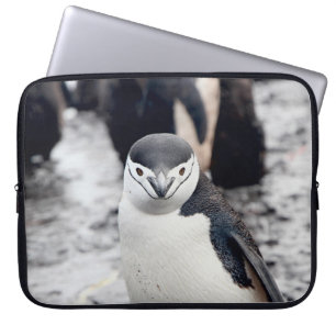 Brillenpinguin Laptopschutzhülle