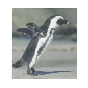 Brillenpinguin Notizblock