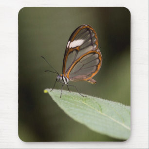 Brillenschmetterling auf einem Blatt Mousepad