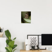 Brillenschmetterling auf einem Blatt Poster (Heimbüro)