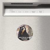 Brillenschweinbär Magnet (In Situ (Geschirrspüler))