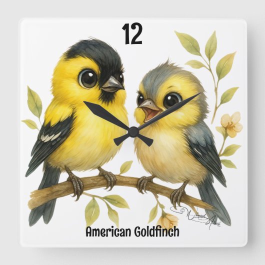 Brilliant American Goldfinch Quadratische Wanduhr (Vorderseite)