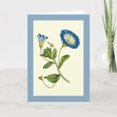 Brilliant Blue Morning Gloria Weinstock Karte (Vorderseite)