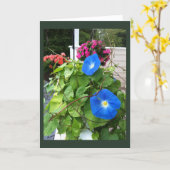 Brilliant Blue Morning Glories Blank  Karte (Gelbe Blume)