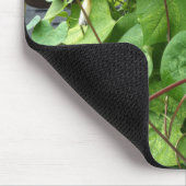 Brilliant Blue Morning Glories Close-up Mousepad (Ecke)