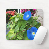 Brilliant Blue Morning Glories Close-up Mousepad (Mit Mouse)