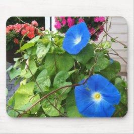 Brilliant Blue Morning Glories Close-up Mousepad